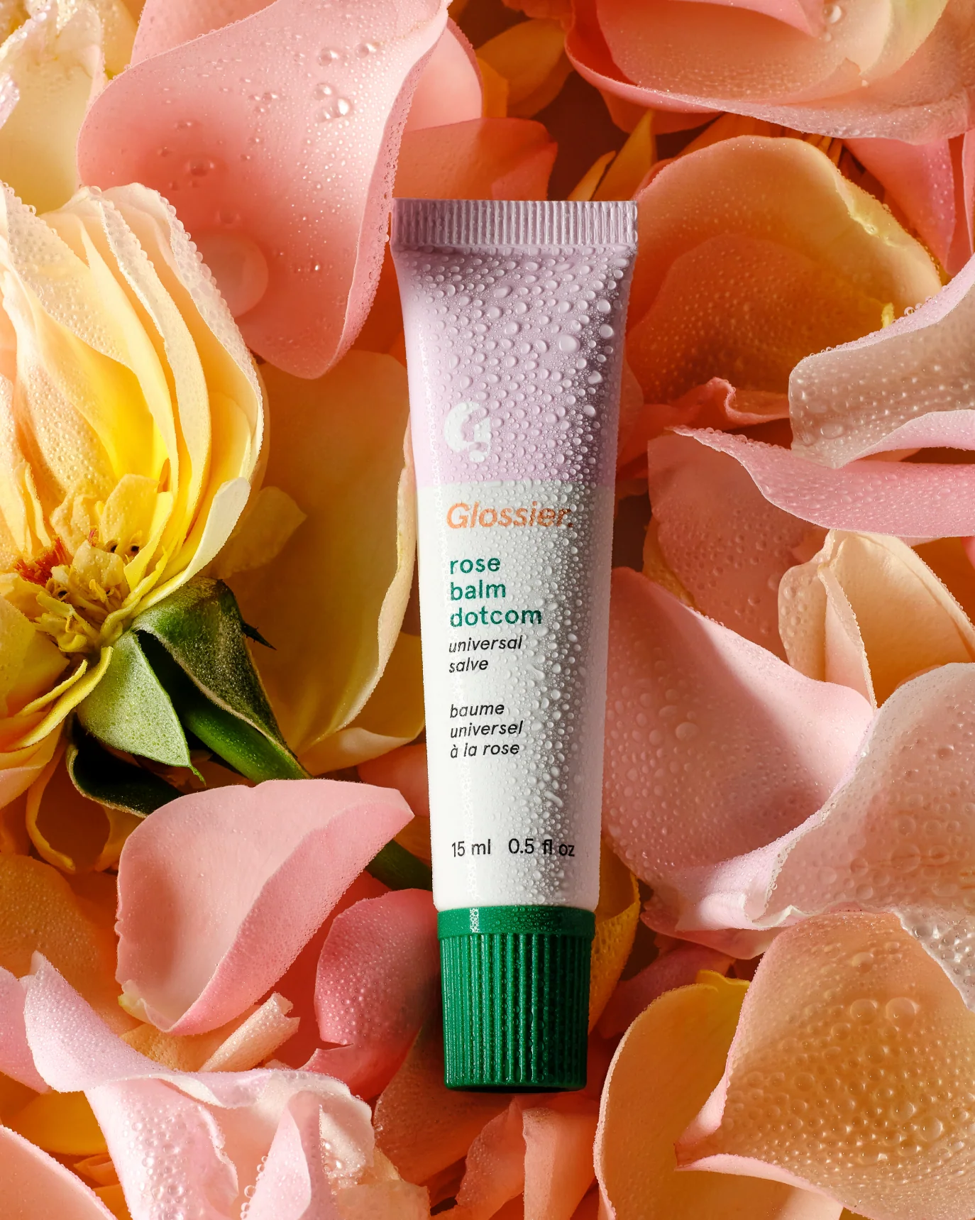Balm Dotcom - Image 8