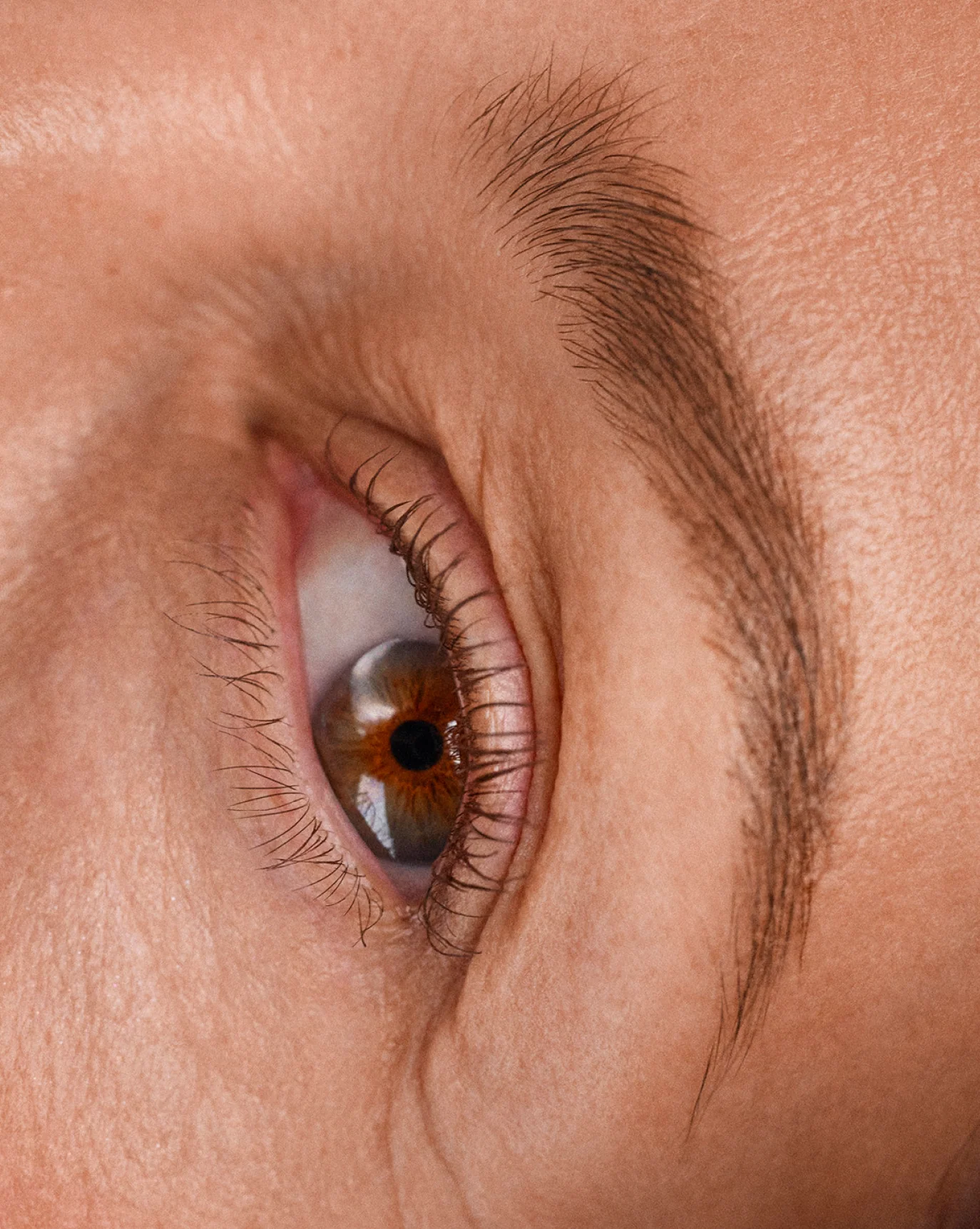 Boy Brow - Image 27