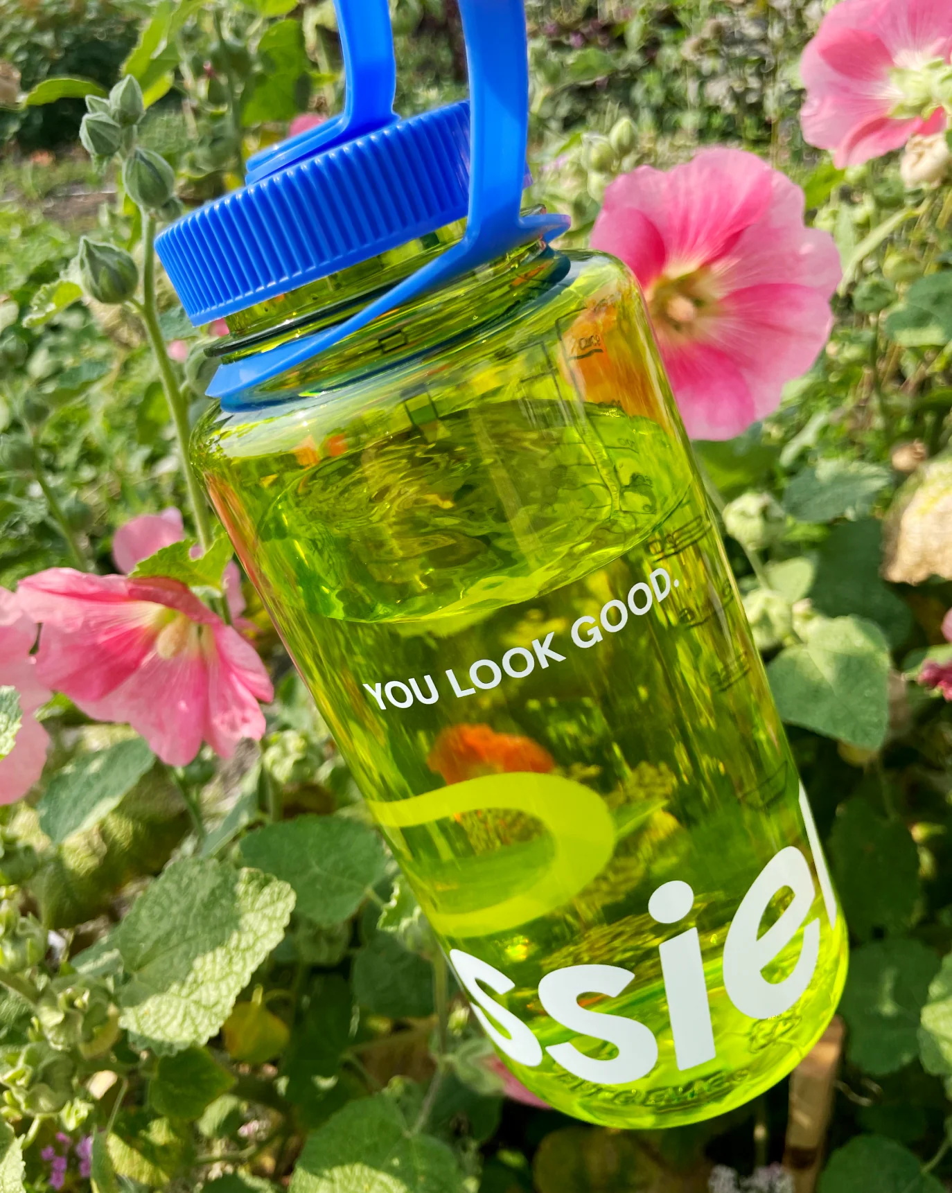 Water Bottle - Image 4